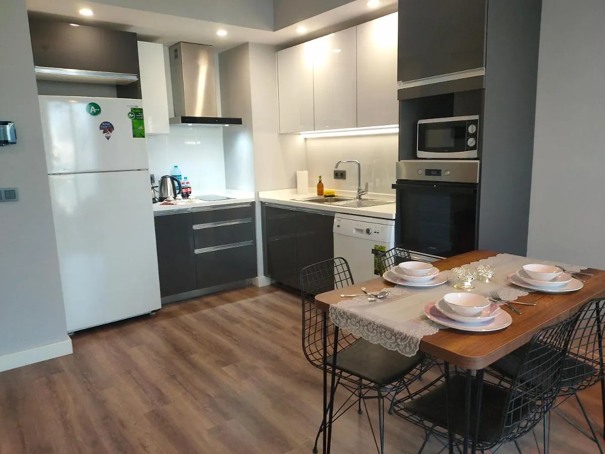 Hotel Luxury Apartment Vip Стамбул 0*,